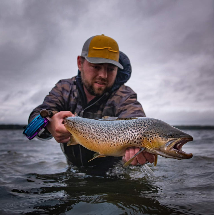 Høtyven - All year effective seatrout fly