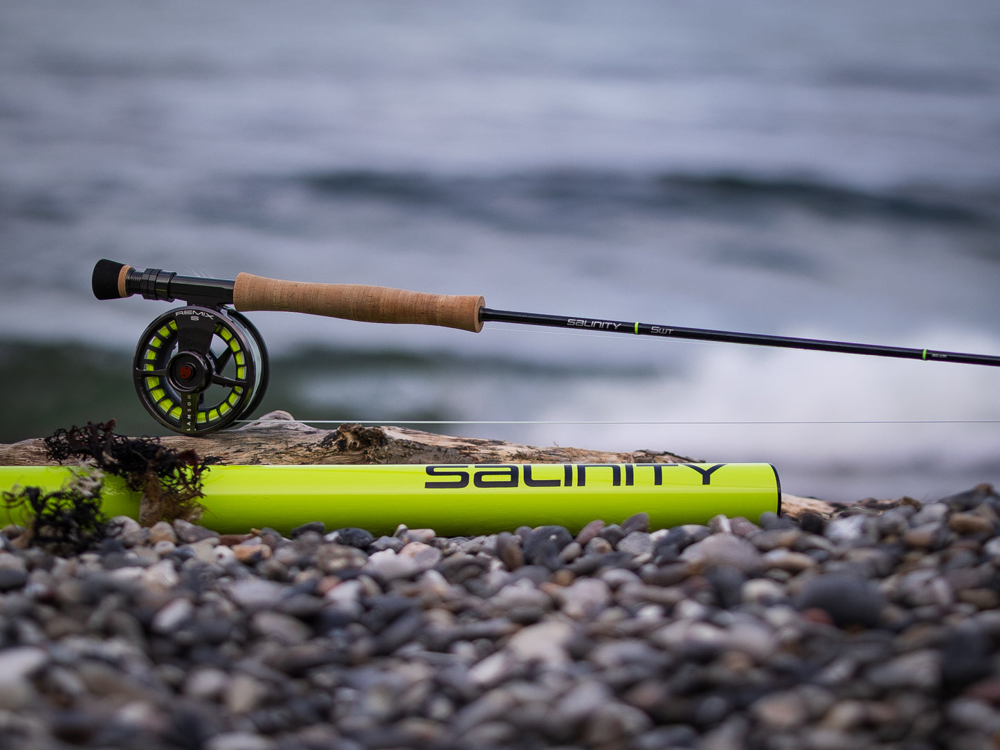SEARUN Salinity #6