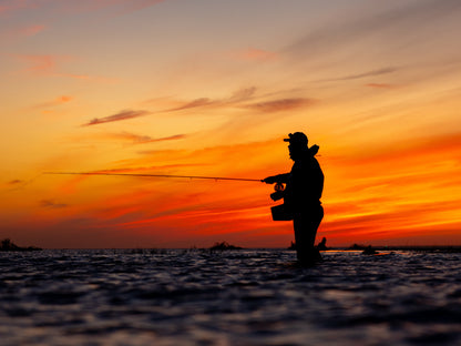 Salinity Tropical #8